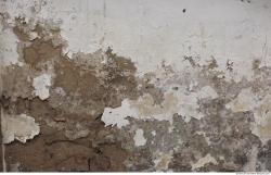 Photo Texture of Wall Plaster